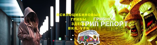 твердый Абаза