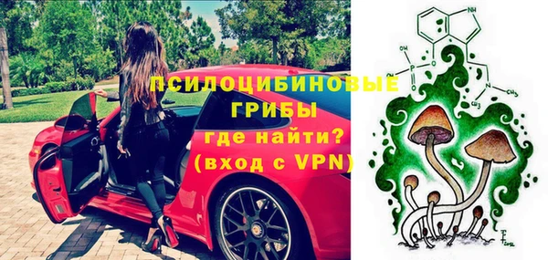 твердый Абаза