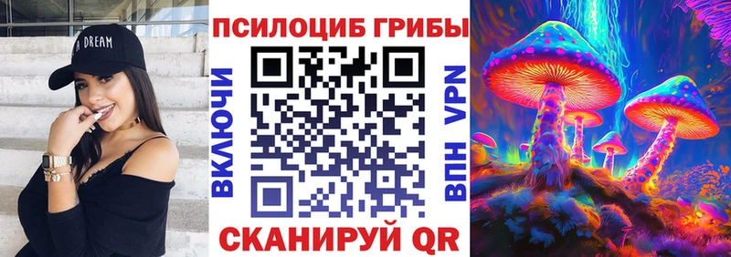 дарнет шоп  Каменногорск  ОМГ ОМГ как войти  Галлюциногенные грибы GOLDEN TEACHER 